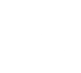 Bella Napoli Brick Oven Pizza Logo